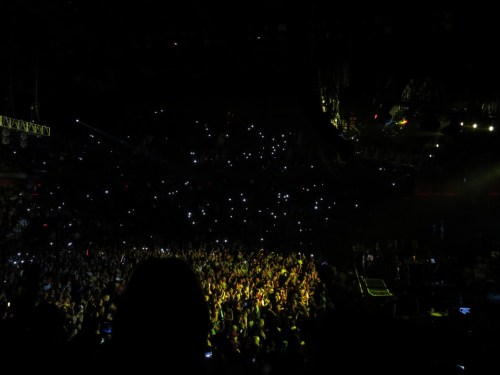 The Crowd as Prince Took the Stage