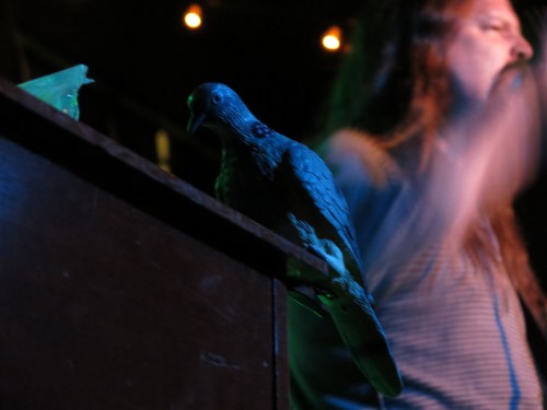 Bird (raven? crow?) perched on the organ