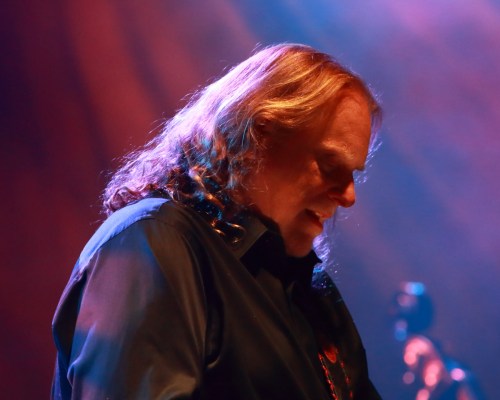 Warren Haynes