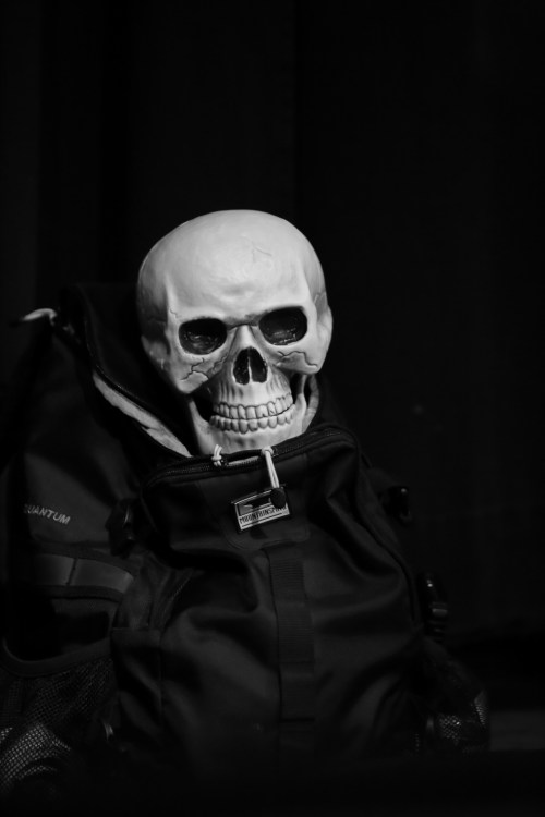 Reverend Freakchild's Companion