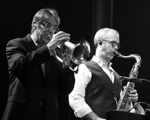 The Mavericks' trumpet and sax players