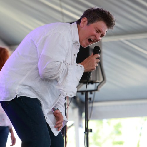 case/lang/viers (k.d. lang)